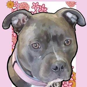 Meet your Posher, Chad